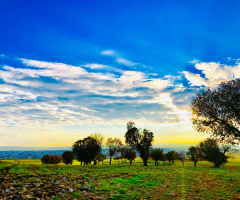 Doğa