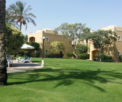 Egypt  - Alain alsokhna