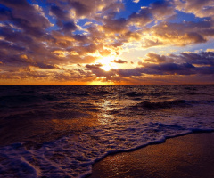 One day wonderful 