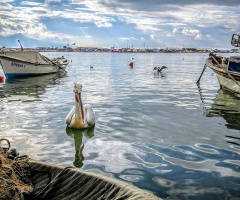 Bostanlı Balıkçı Barınağı.. 