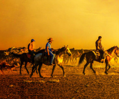 Bir Western Hikayesi.