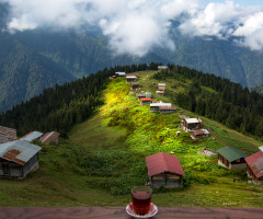 Pokut aşktır.