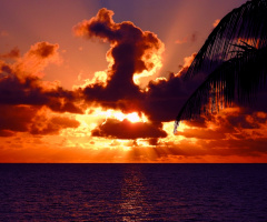 New day...
