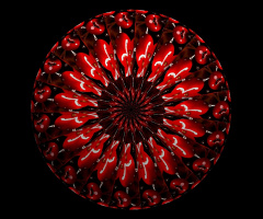 MANDALA