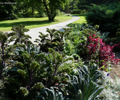 Schlossgarten Durlach (Karlsruhe / Deutschland)
