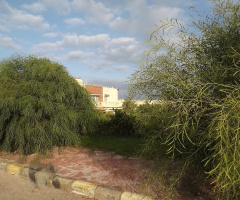 Egypt  - North coast 