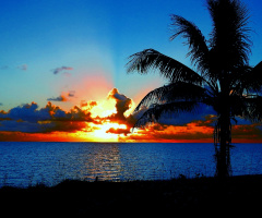 Sunrise