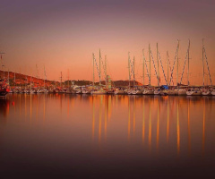 Reflection