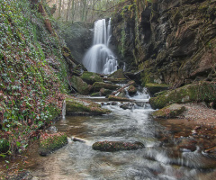 Dağpınar Şelalesi 253