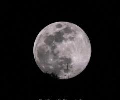 Full Moon Over Tucson Mountains