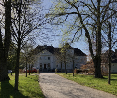 Spring Light