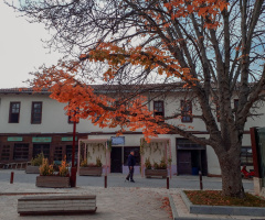 Sakarya/Taraklı 
