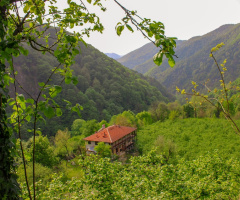 Sakarya doğançay köyü 