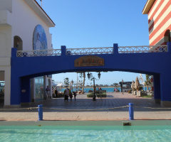 Egypt  - North coast  - Porto marina 