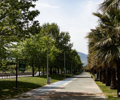Yürüyüş Yolu
