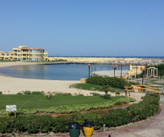 Egypt  - Alexandria