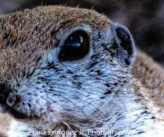 I've Got My Eye On You