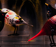 THE BIRDS