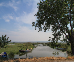 Gölyaka-Manyas
