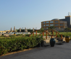 Egypt - Alexandria