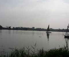 Egypt  - Cairo - Nile river