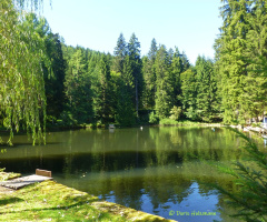 Langenwaldsee