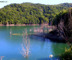 biraz huzur
