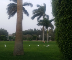 Egypt  - Hurghada