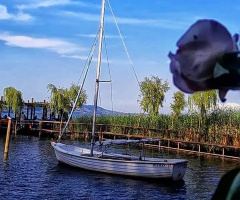 Güzellik sapanca