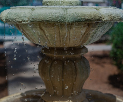 Fountain Of Youth