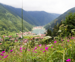 MANZARA