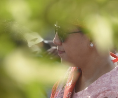 Behind the leaves