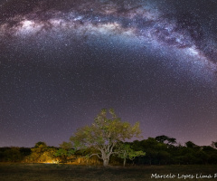 Saída fotográfica 24/08/2019.
