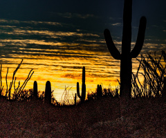 Arizona Sunrise
