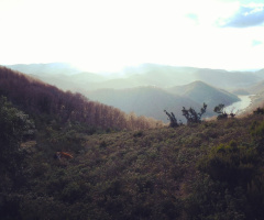 Çatalağzı/Baraj