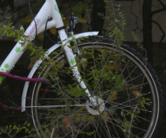 Das Fahrrad