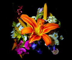 BLUMEN