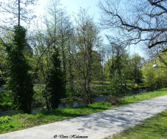 Spazierweg entlang der Alb