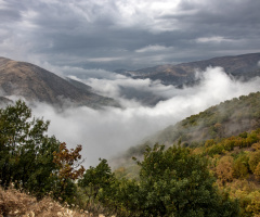 Sonbaharım