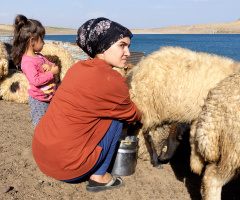 Tatvan-Ekim 2019