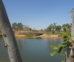 Egypt  - Alain alsokhna