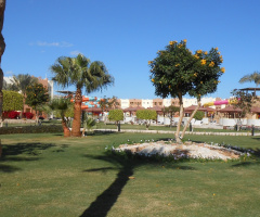 Egypt  - Hurghada