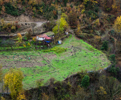 Sonbahar