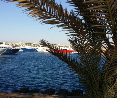 Egypt - Hurghada