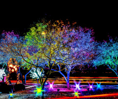 Arizona Christmas Colors