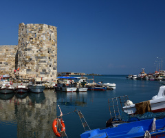yumurtalık