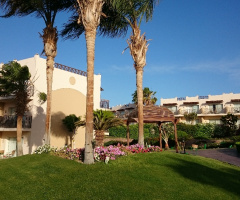 Egypt - Hurghada