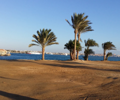 Egypt - Hurghada