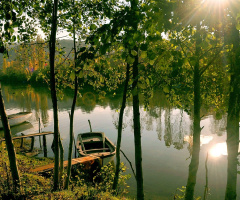 BARTIN IRMAĞI