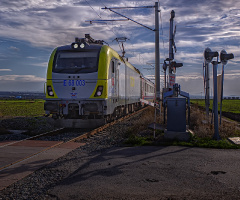 Tren